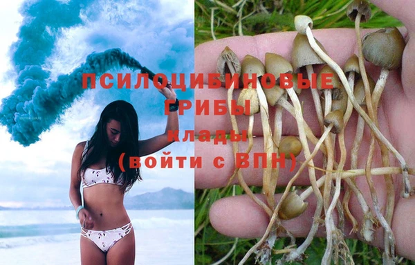 мет Горно-Алтайск
