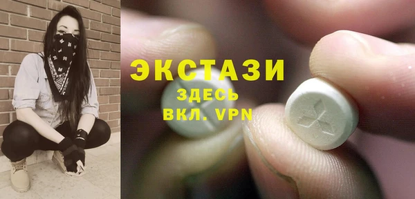 ECSTASY Горняк