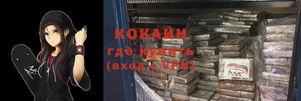 ECSTASY Горняк