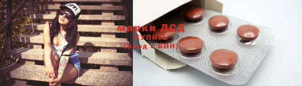 ECSTASY Горняк