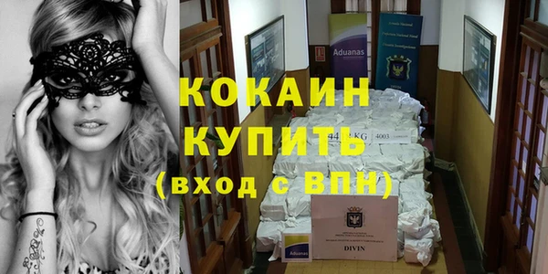 ECSTASY Горняк