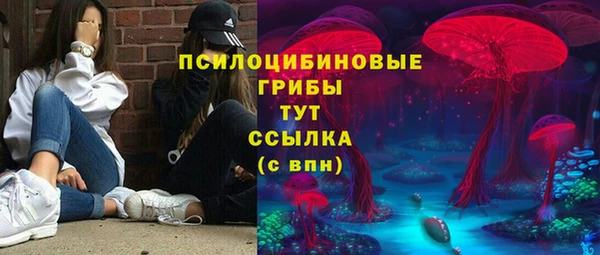ECSTASY Горняк