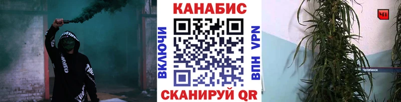 Купить  Великие Луки  МАРИХУАНА сатива 